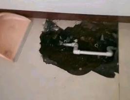 平和卫生间测漏水多少钱